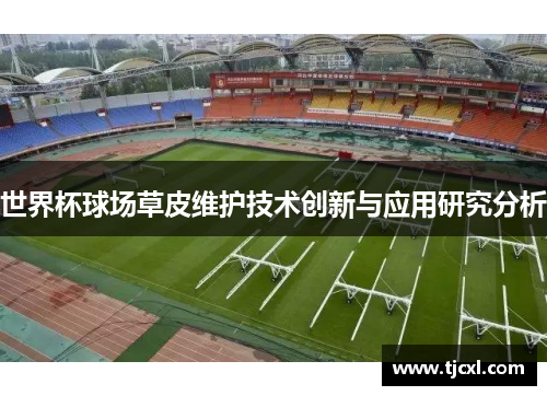 世界杯球场草皮维护技术创新与应用研究分析