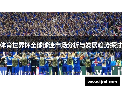 体育世界杯全球球迷市场分析与发展趋势探讨