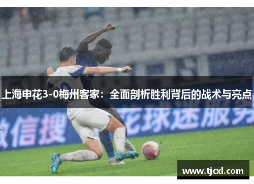 上海申花3-0梅州客家：全面剖析胜利背后的战术与亮点